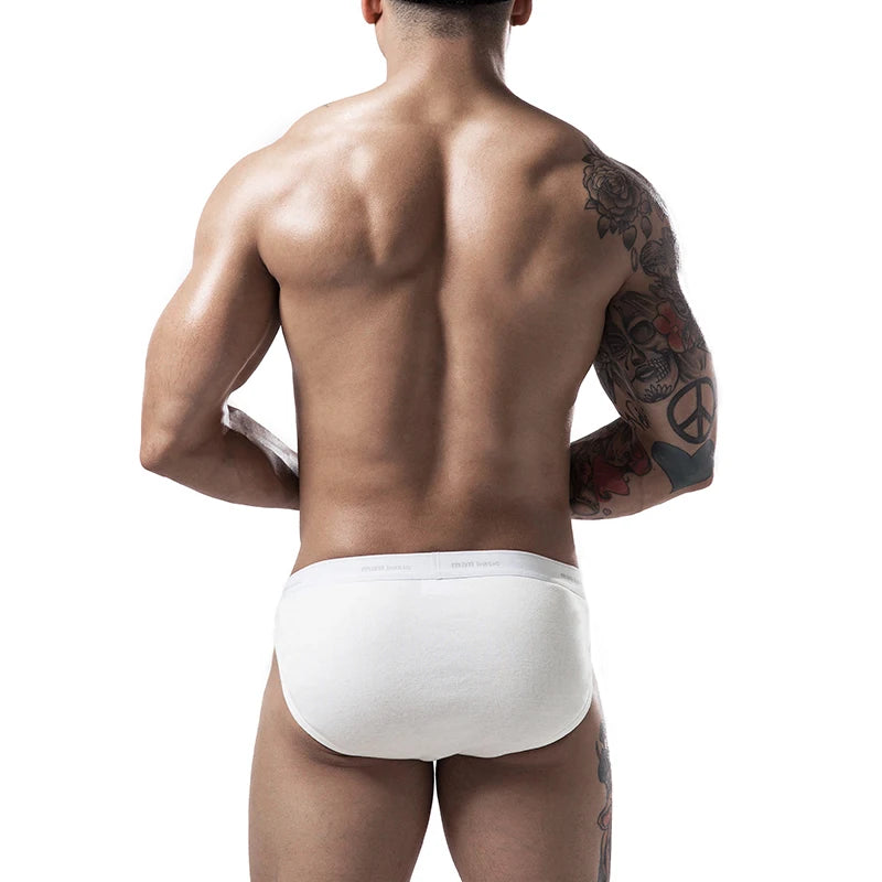 sexy briefs mens underwear briefs cotton underwear for men