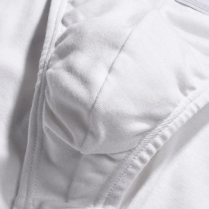 sexy briefs mens underwear briefs cotton underwear for men