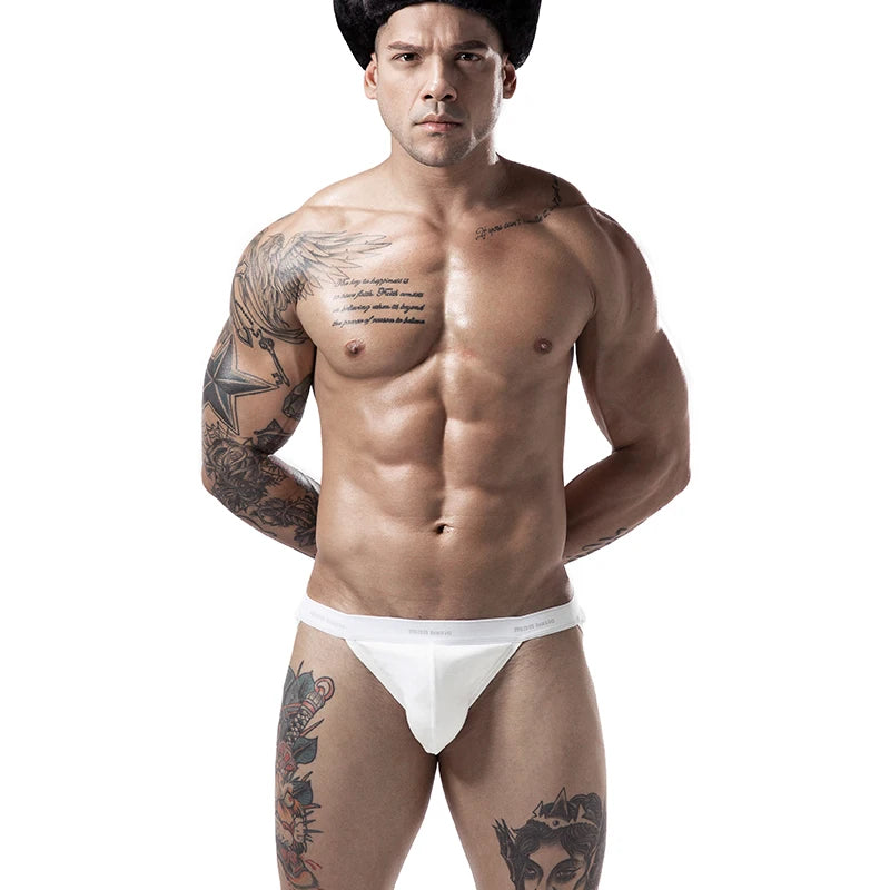 sexy briefs mens underwear briefs cotton underwear for men